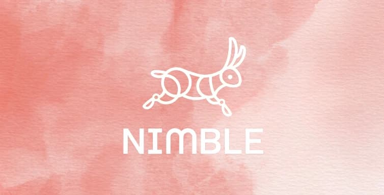 Nimble Loan